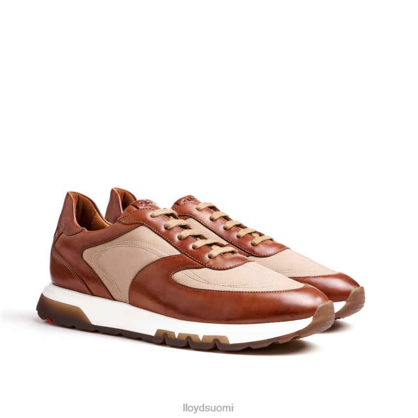 kenkiä LLOYD Albany ruskea miehet 2N8DX1337