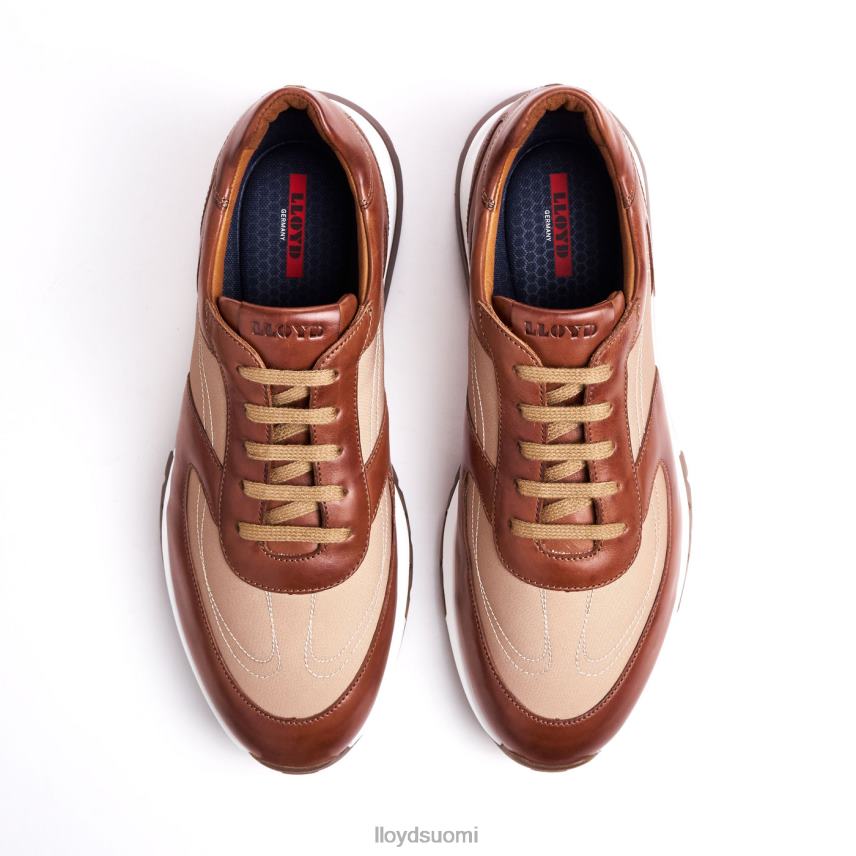 kenkiä LLOYD Albany ruskea miehet 2N8DX1337