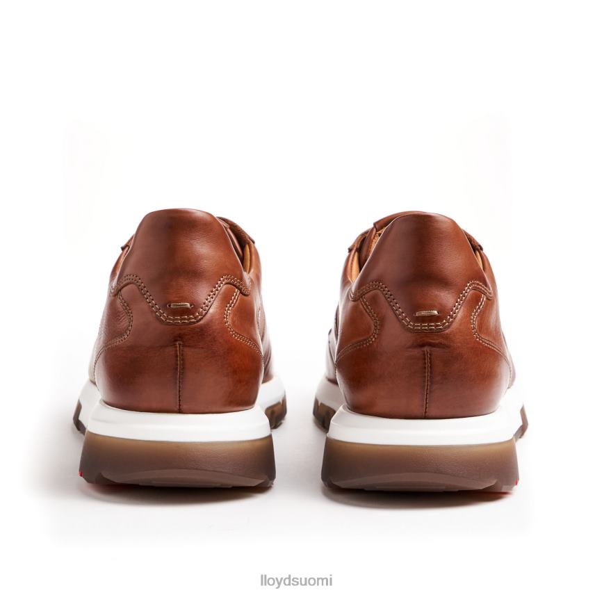 kenkiä LLOYD Albany ruskea miehet 2N8DX1337
