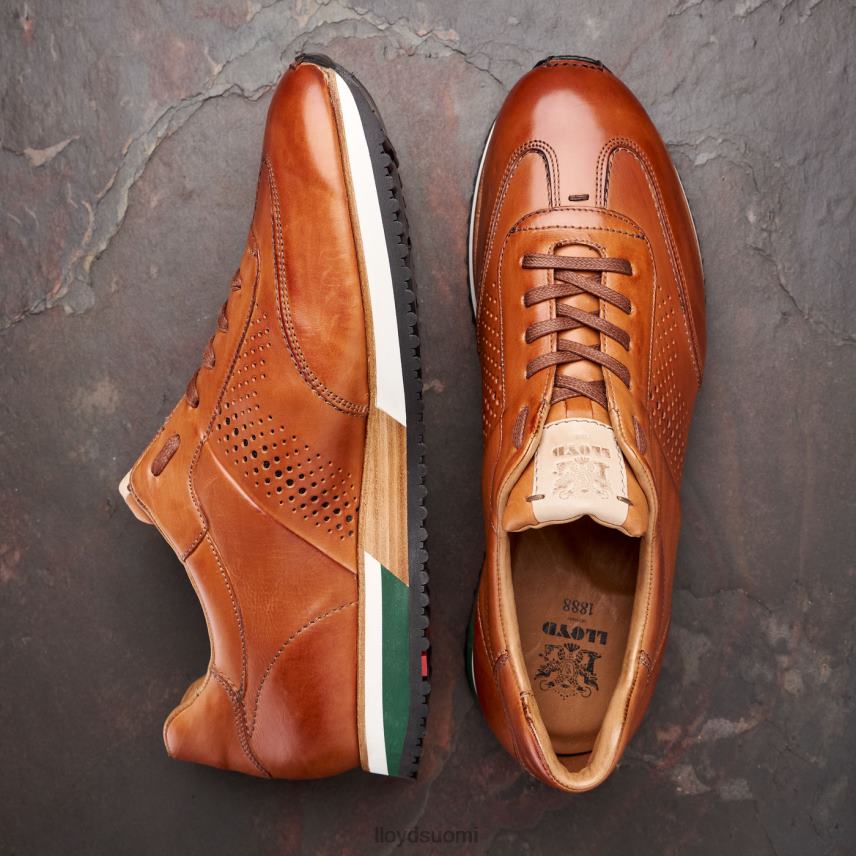 kenkiä LLOYD Walcott ruskea miehet 2N8DX180