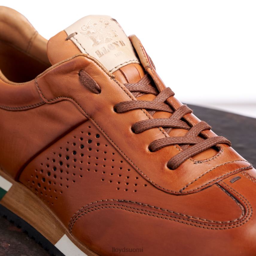 kenkiä LLOYD Walcott ruskea miehet 2N8DX180