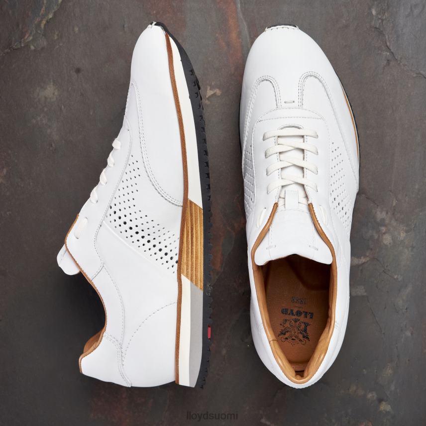 kenkiä LLOYD Walcott valkoinen miehet 2N8DX1320