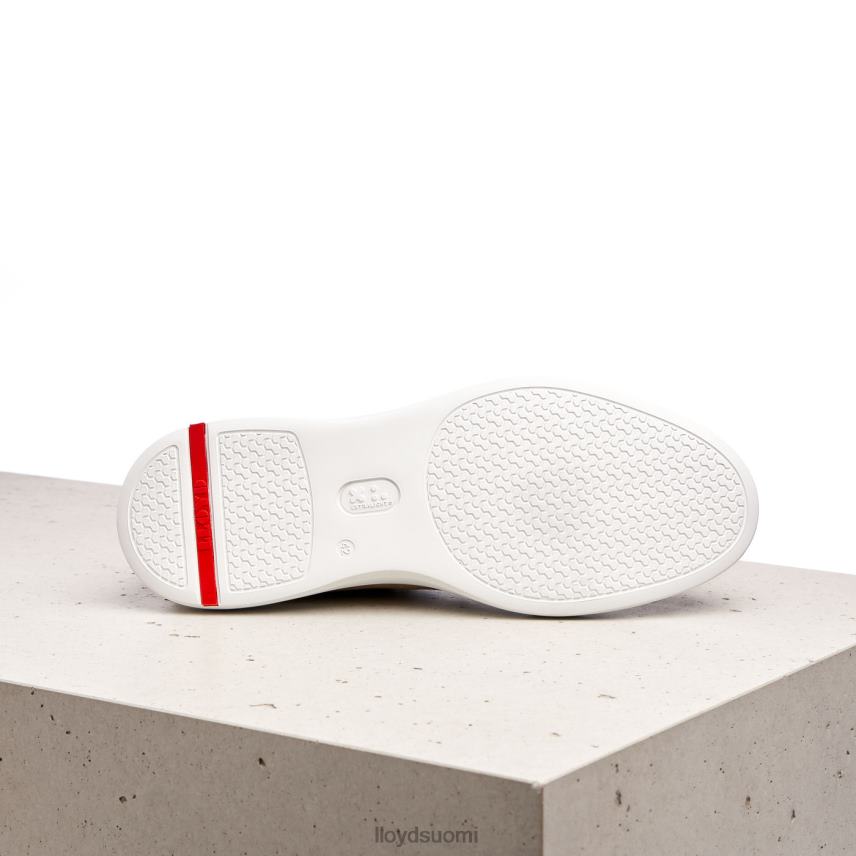 kenkiä LLOYD aaro ruskea miehet 2N8DX421