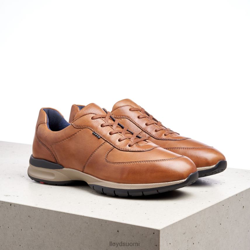 kenkiä LLOYD aberdeen ruskea miehet 2N8DX392