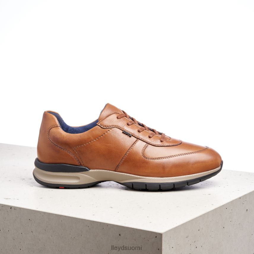 kenkiä LLOYD aberdeen ruskea miehet 2N8DX392