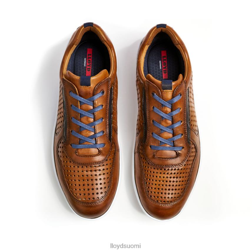 kenkiä LLOYD abott ruskea miehet 2N8DX415