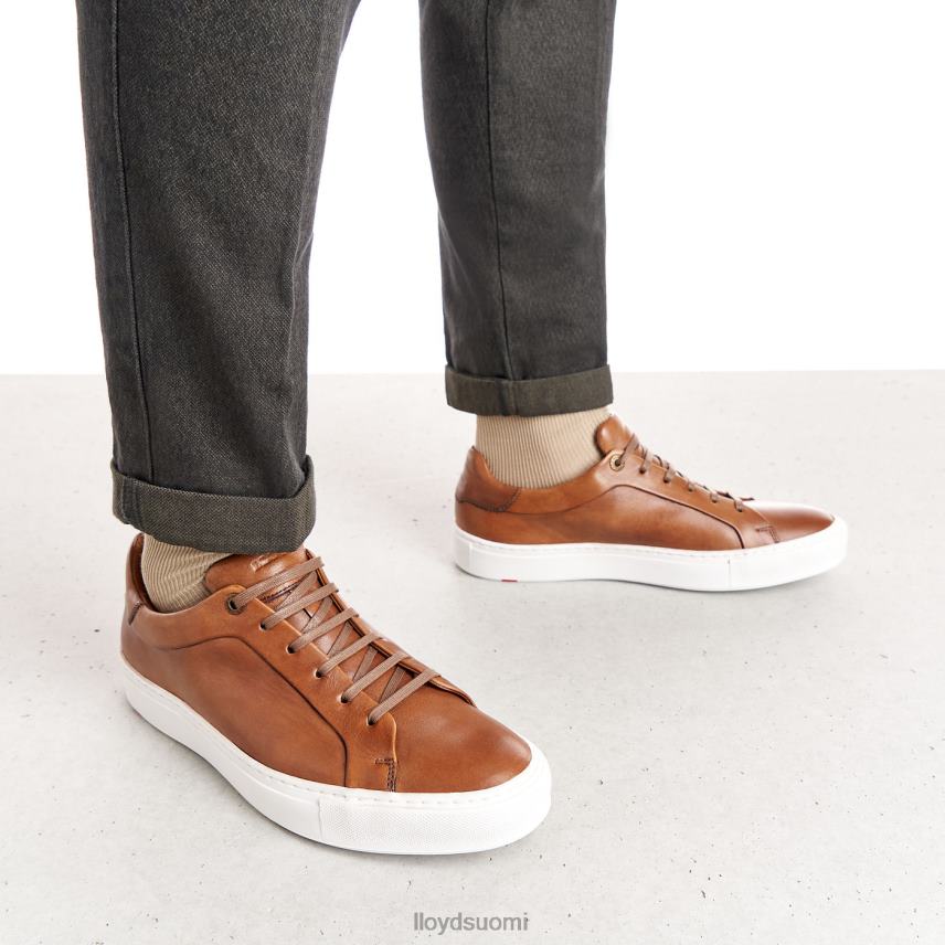 kenkiä LLOYD ajan ruskea miehet 2N8DX391