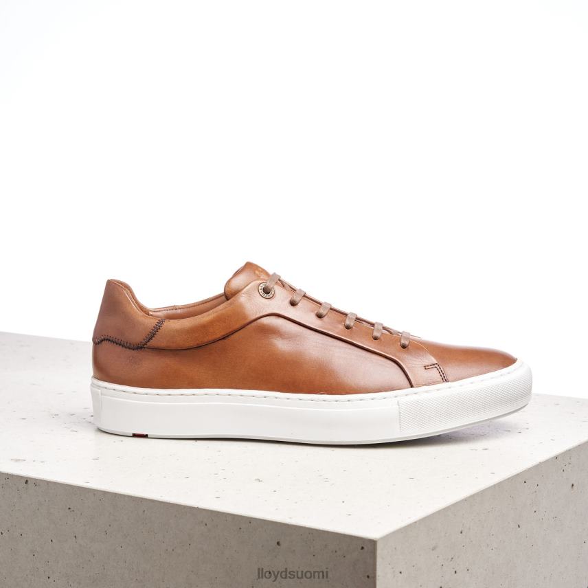 kenkiä LLOYD ajan ruskea miehet 2N8DX391