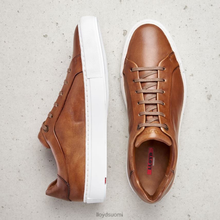 kenkiä LLOYD ajan ruskea miehet 2N8DX391