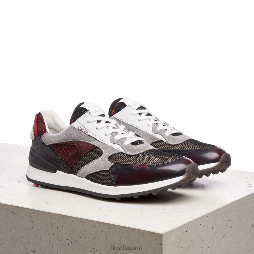 kenkiä LLOYD alfa yhdistettynä miehet 2N8DX353