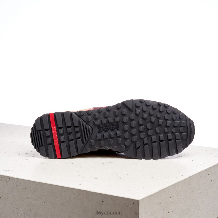 kenkiä LLOYD armand yhdistettynä miehet 2N8DX1336