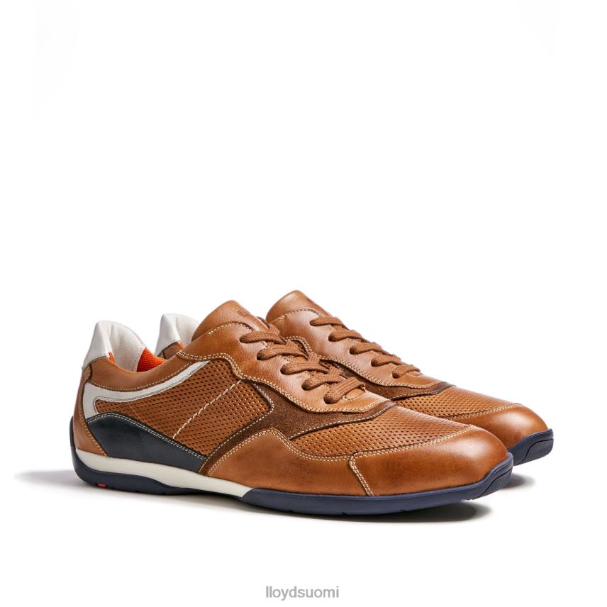 kenkiä LLOYD baltimore ruskea miehet 2N8DX287