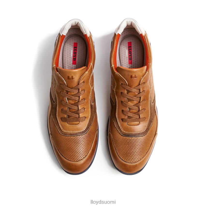 kenkiä LLOYD baltimore ruskea miehet 2N8DX287