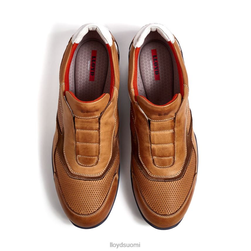 kenkiä LLOYD banfield ruskea miehet 2N8DX347