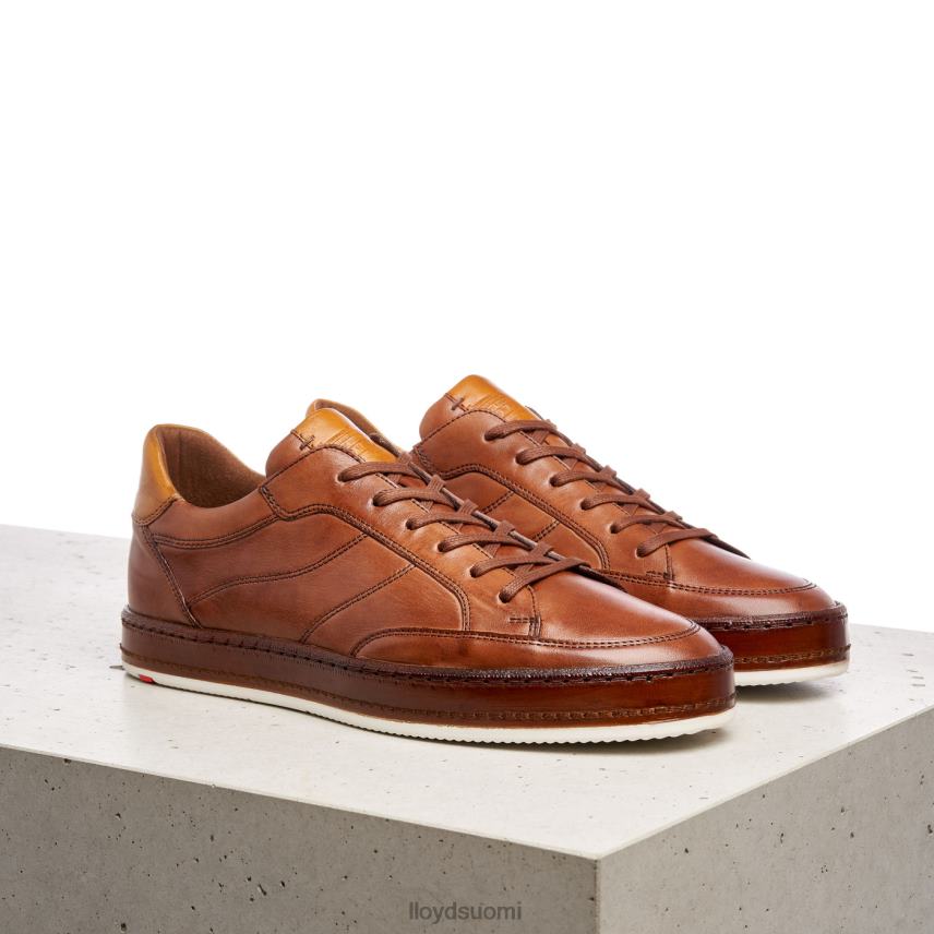 kenkiä LLOYD blackburn ruskea miehet 2N8DX440