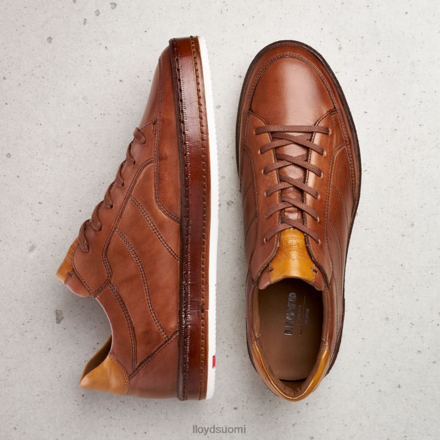 kenkiä LLOYD blackburn ruskea miehet 2N8DX440