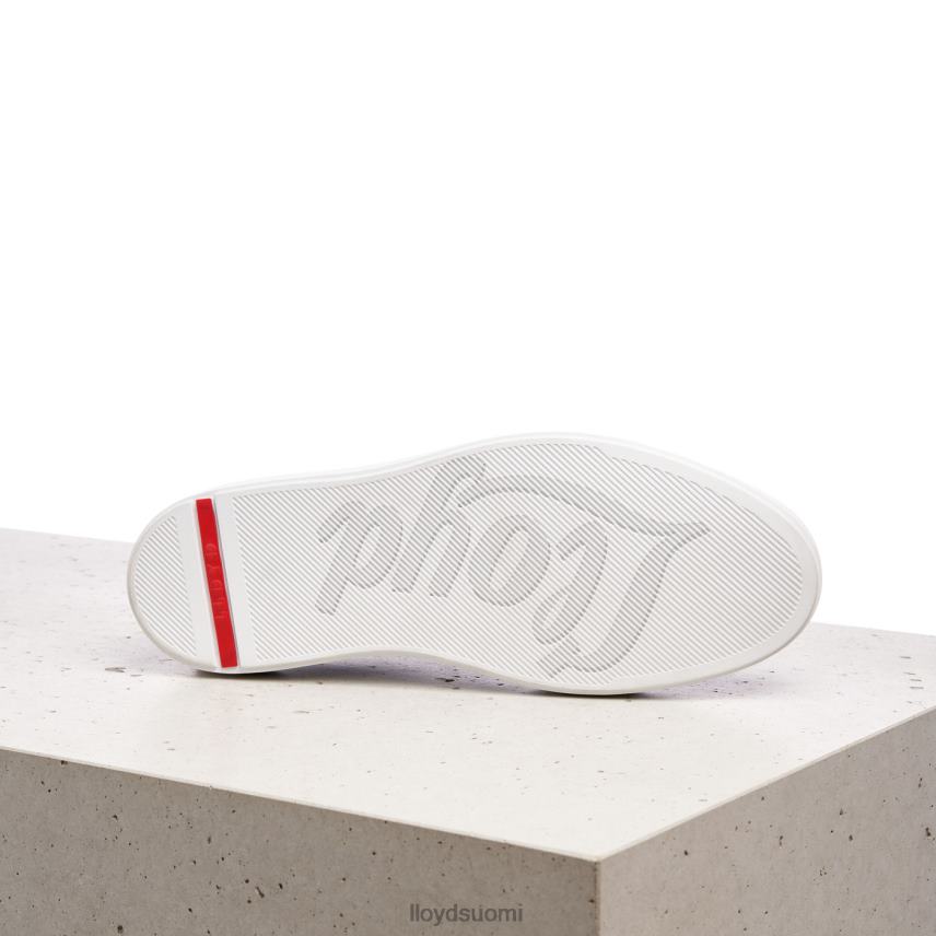 kenkiä LLOYD brannon sininen miehet 2N8DX448