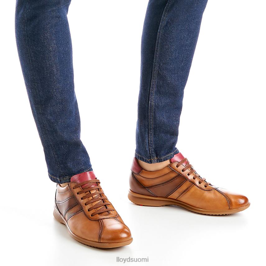 kenkiä LLOYD davos ruskea miehet 2N8DX308