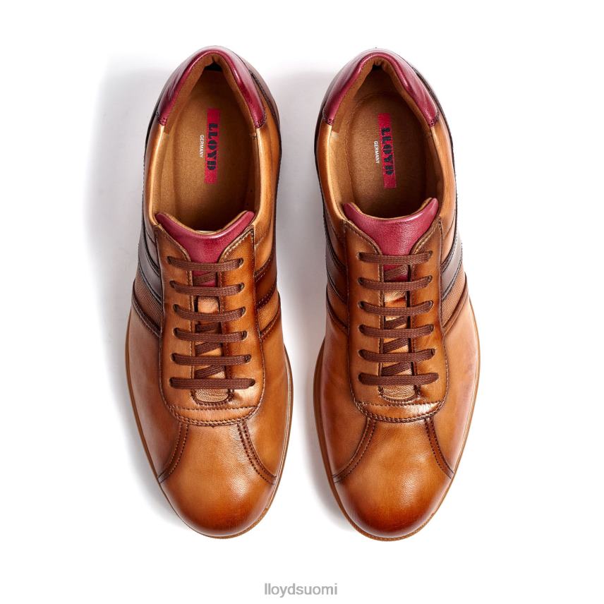 kenkiä LLOYD davos ruskea miehet 2N8DX308