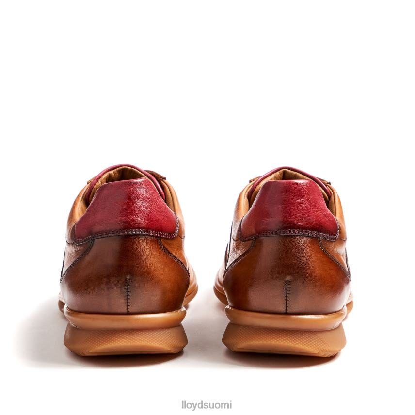 kenkiä LLOYD davos ruskea miehet 2N8DX308