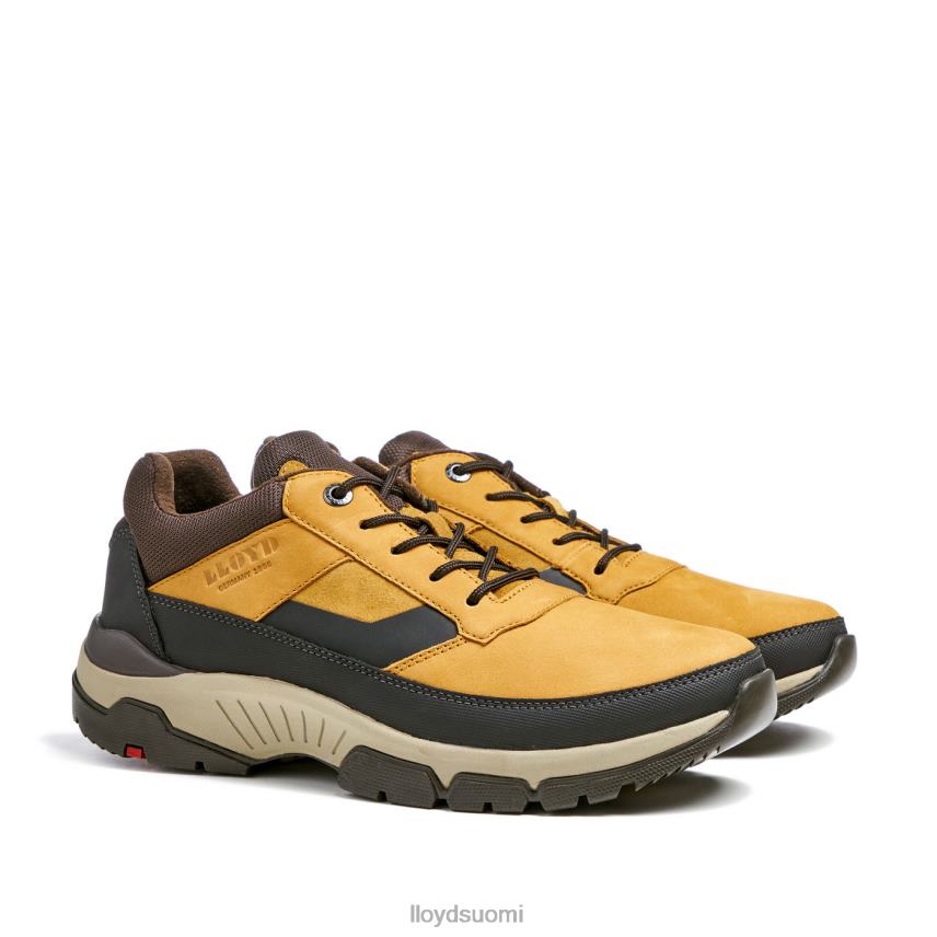 kenkiä LLOYD ebe ruskea miehet 2N8DX295
