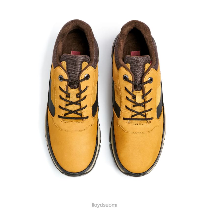 kenkiä LLOYD ebe ruskea miehet 2N8DX295