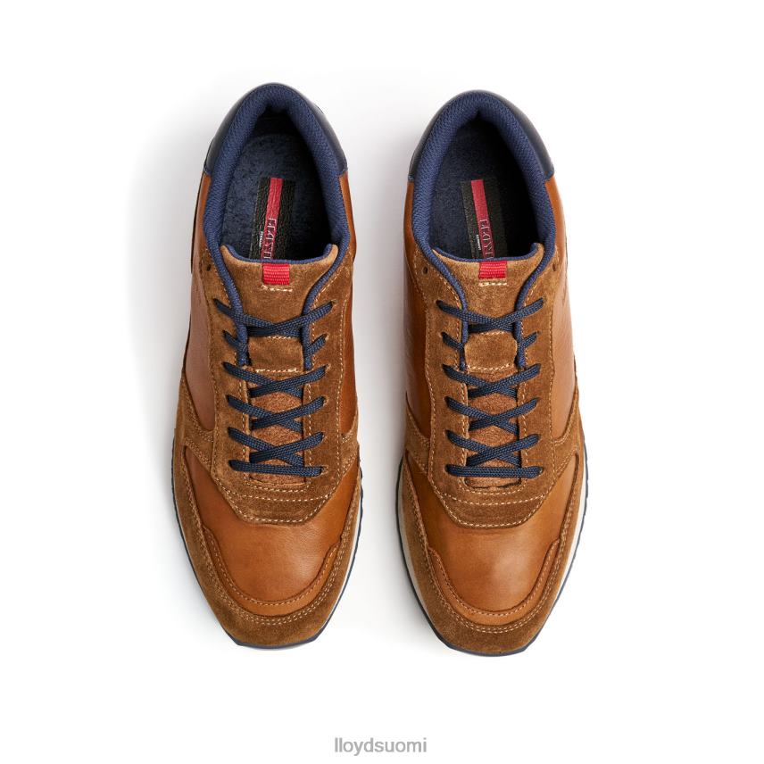 kenkiä LLOYD edmond ruskea miehet 2N8DX310