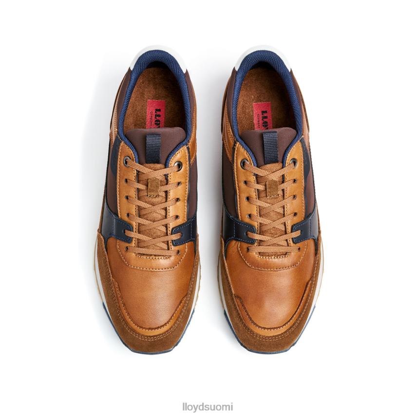 kenkiä LLOYD eiron ruskea miehet 2N8DX293