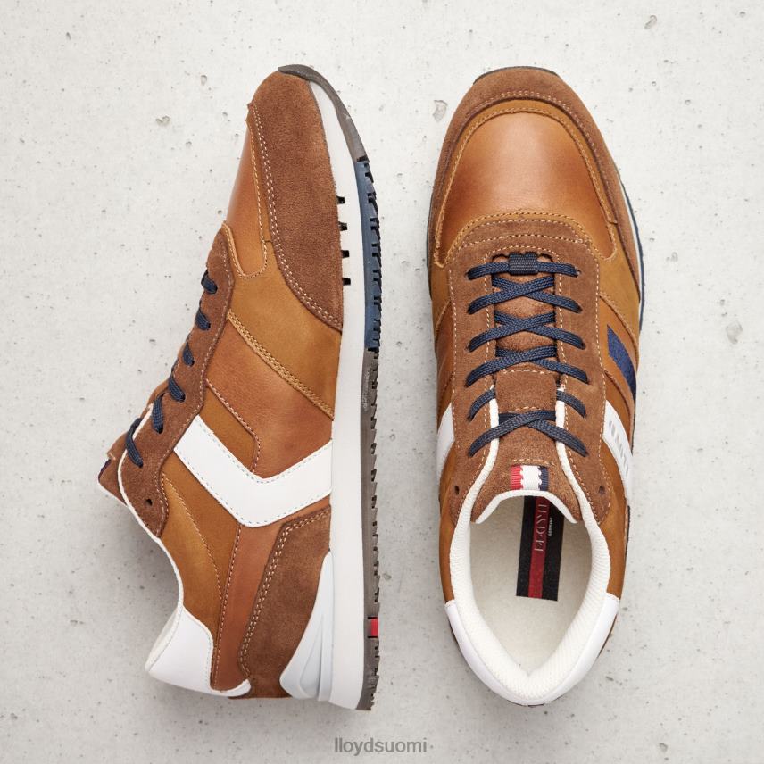 kenkiä LLOYD elio ruskea miehet 2N8DX381