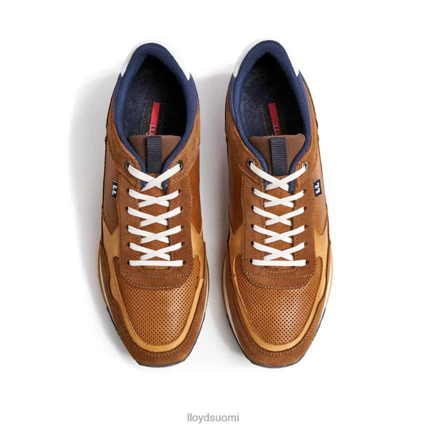 kenkiä LLOYD emilian ruskea miehet 2N8DX282