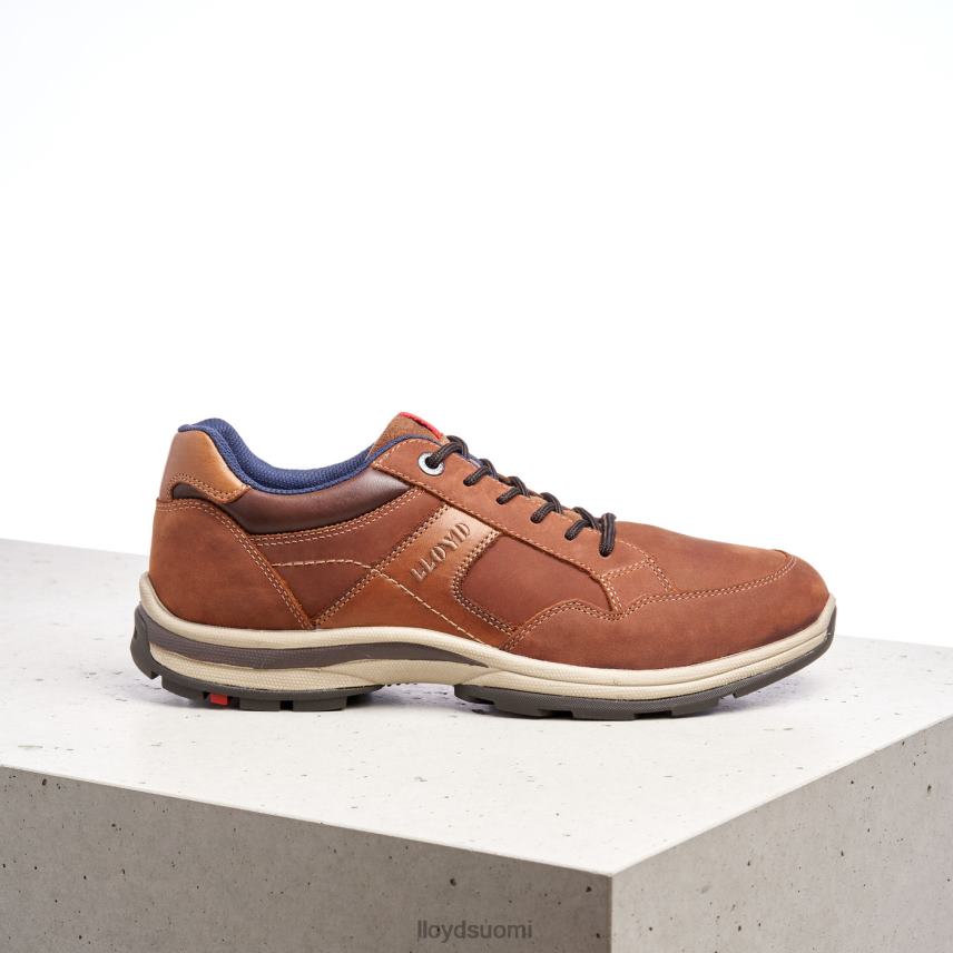kenkiä LLOYD ensor ruskea miehet 2N8DX394