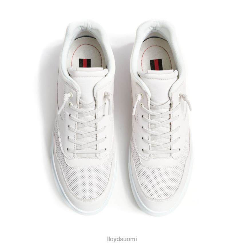 kenkiä LLOYD enzo valkoinen miehet 2N8DX327