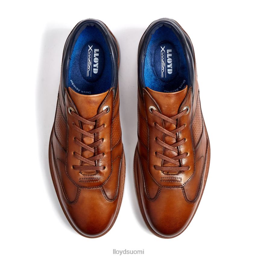 kenkiä LLOYD maksimi ruskea miehet 2N8DX250