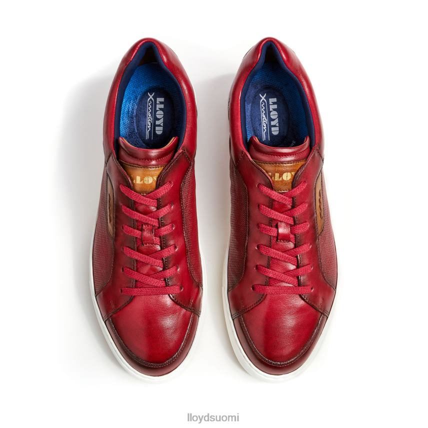 kenkiä LLOYD malaga punainen miehet 2N8DX259