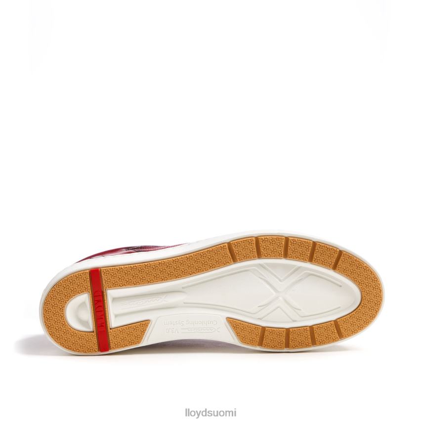 kenkiä LLOYD malaga punainen miehet 2N8DX259