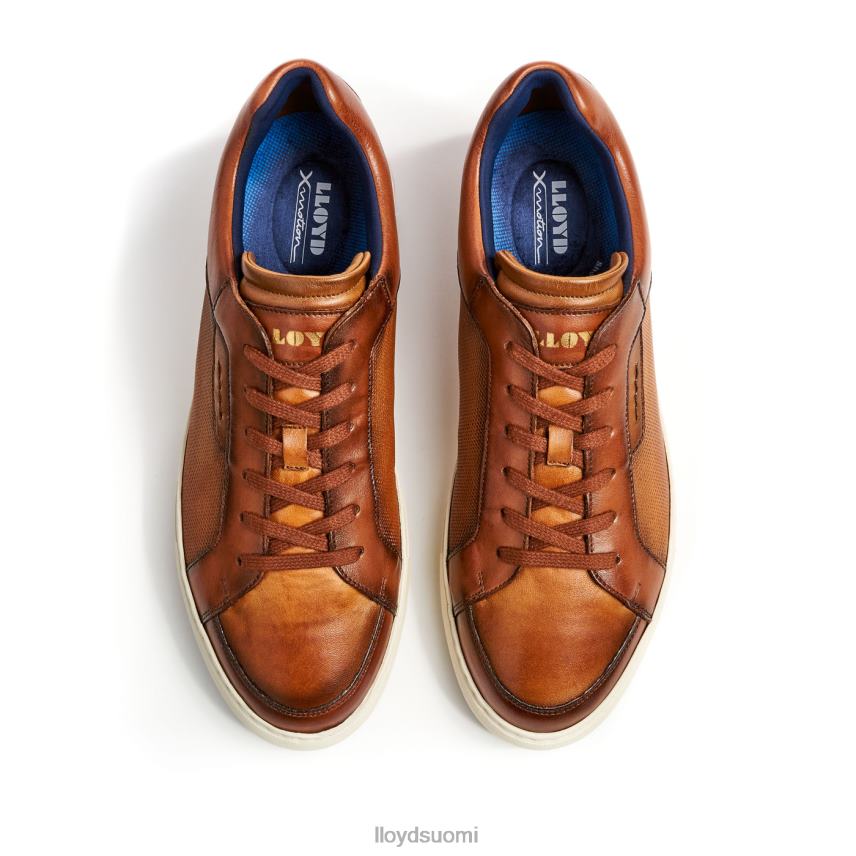 kenkiä LLOYD malaga ruskea miehet 2N8DX1327