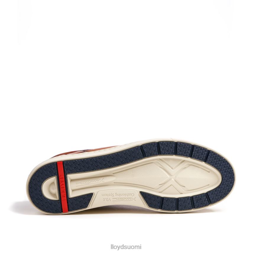 kenkiä LLOYD malaga ruskea miehet 2N8DX1327