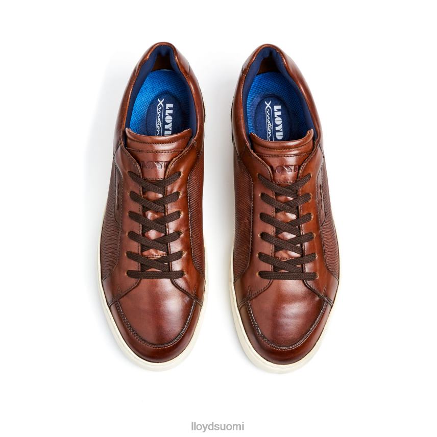 kenkiä LLOYD malaga ruskea miehet 2N8DX249
