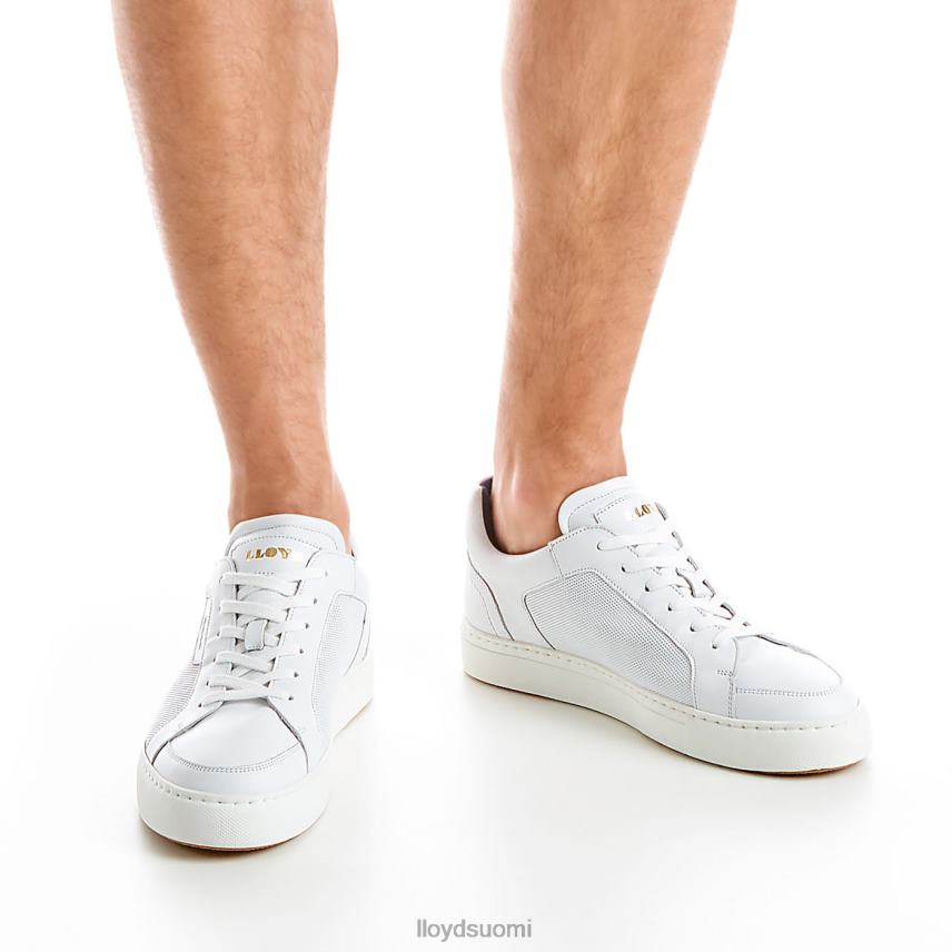 kenkiä LLOYD malaga valkoinen miehet 2N8DX276