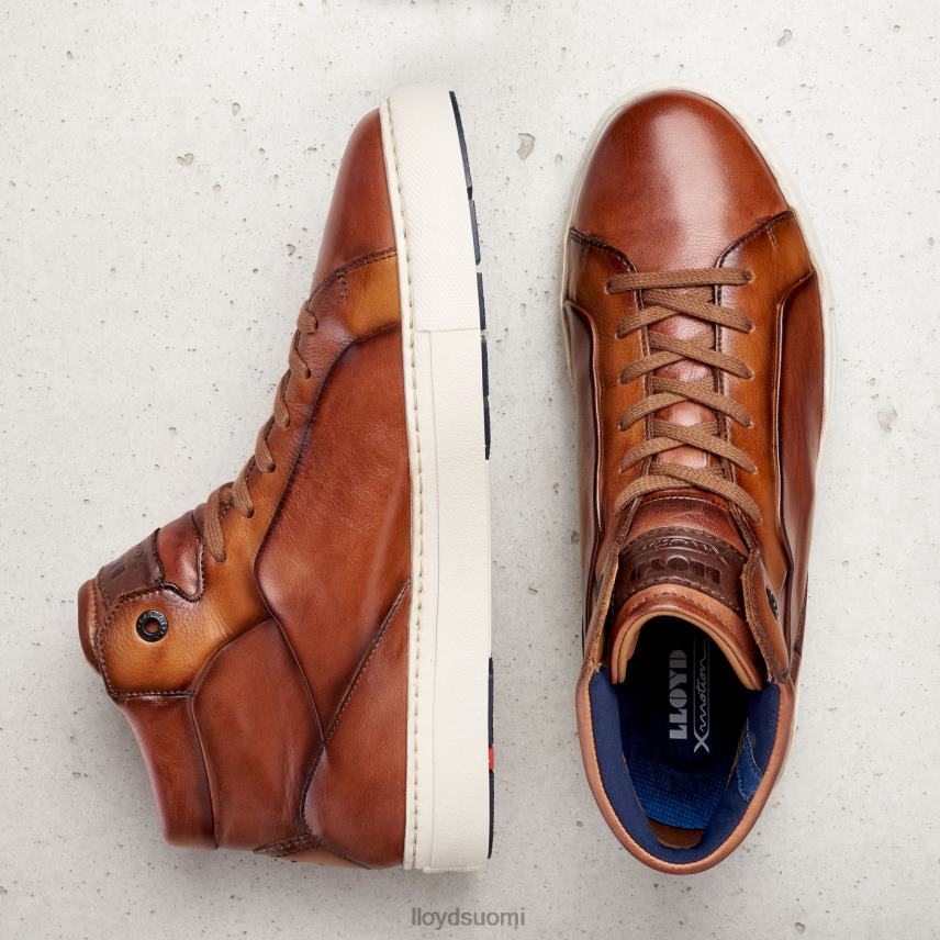 kenkiä LLOYD marsalkka ruskea miehet 2N8DX254