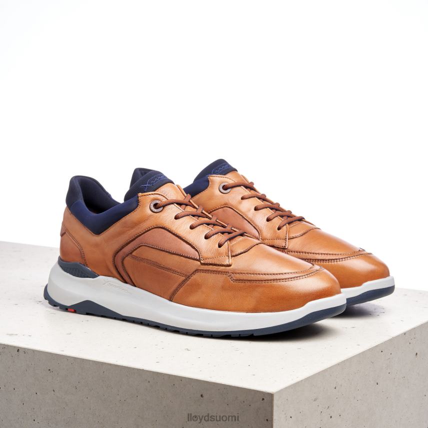 kenkiä LLOYD memphis ruskea miehet 2N8DX1328