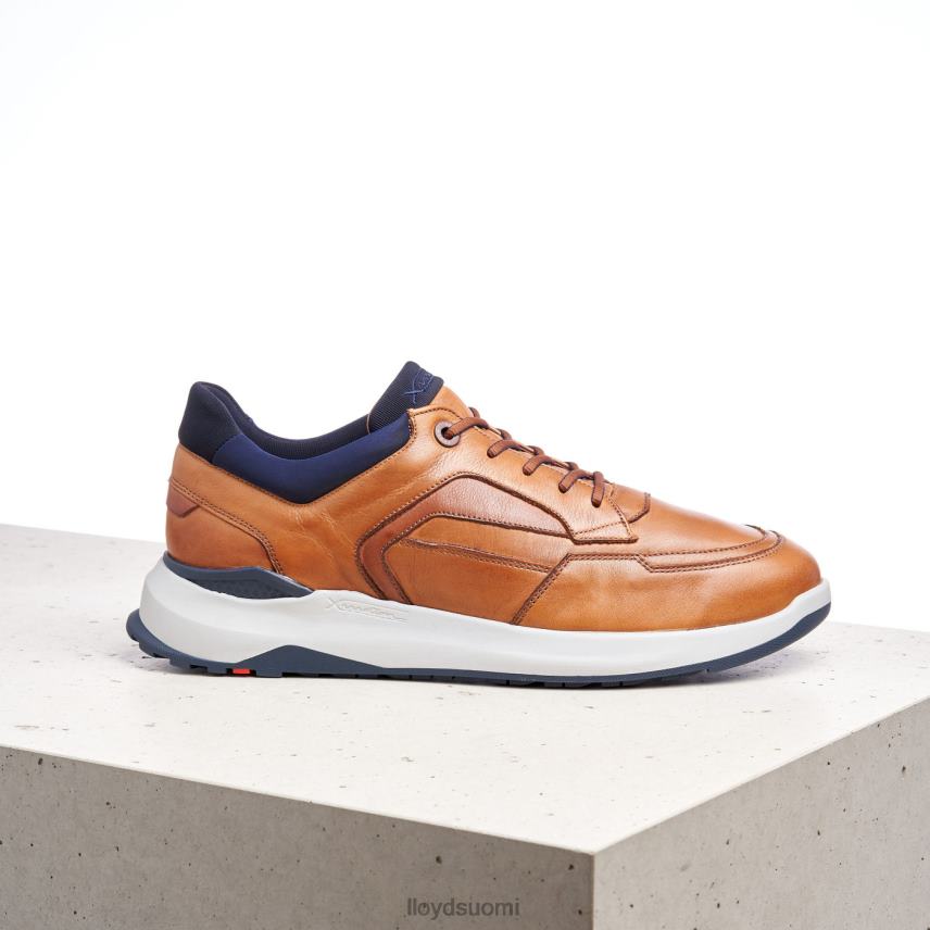 kenkiä LLOYD memphis ruskea miehet 2N8DX1328