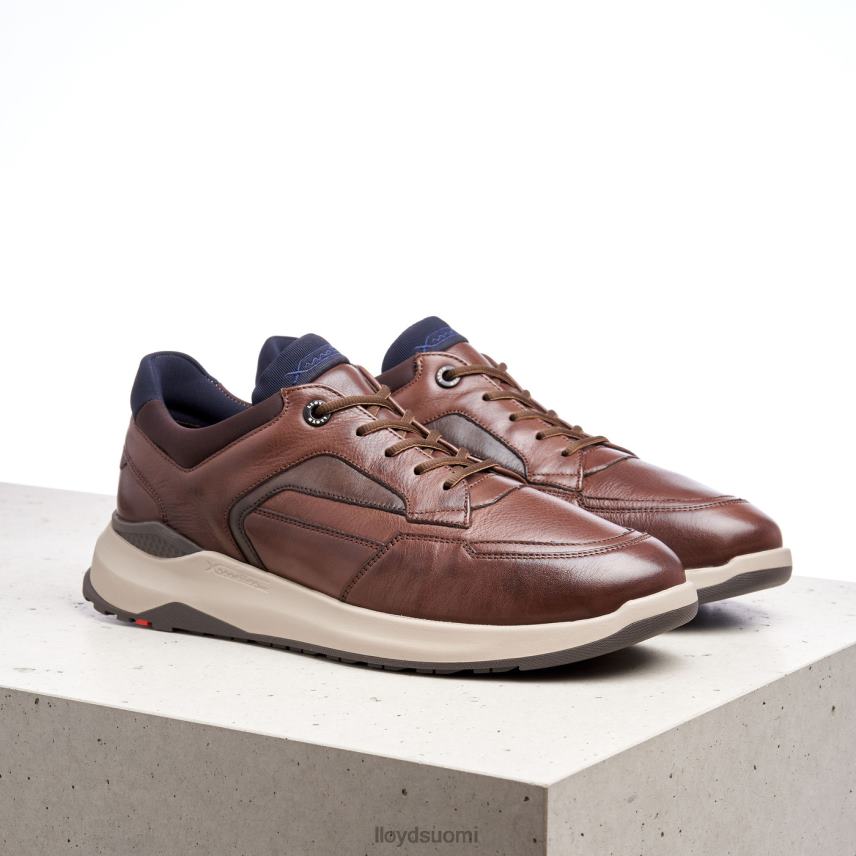 kenkiä LLOYD memphis ruskea miehet 2N8DX267