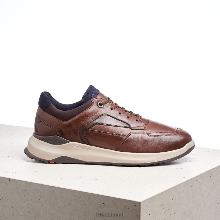 kenkiä LLOYD memphis ruskea miehet 2N8DX267