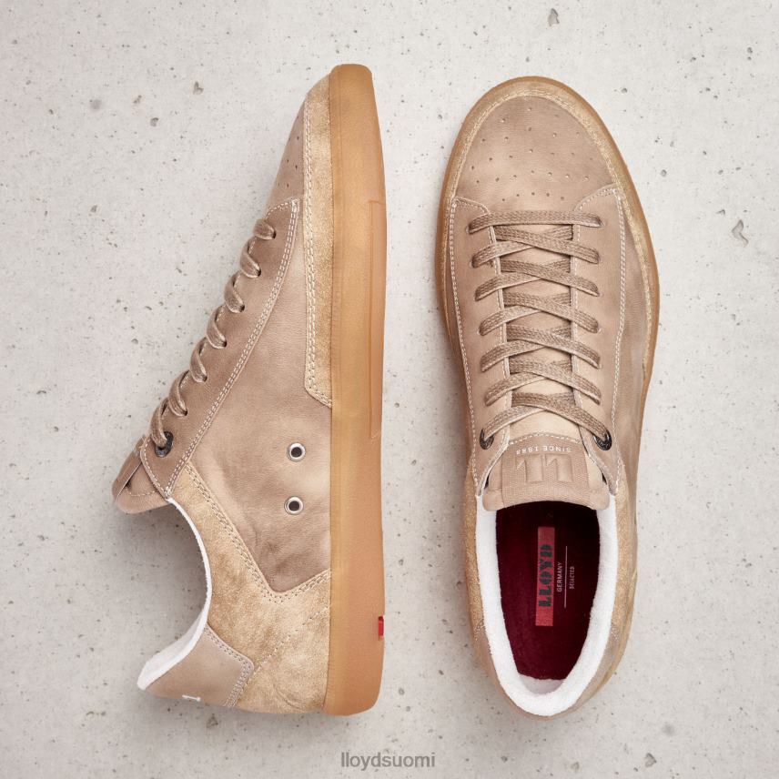 kenkiä LLOYD paroni beige miehet 2N8DX441