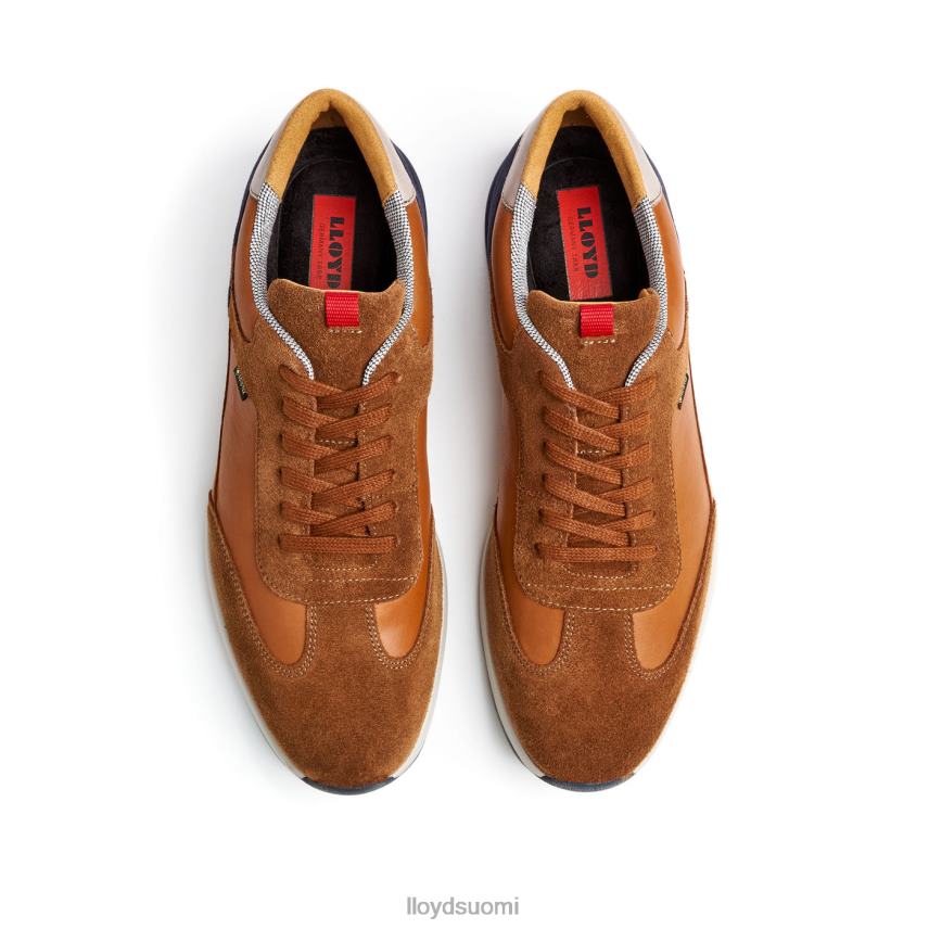 kenkiä LLOYD vedea ruskea miehet 2N8DX322