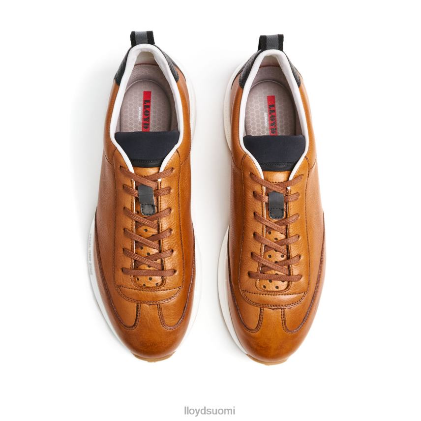 kenkiä LLOYD velo 6 ruskea miehet 2N8DX435