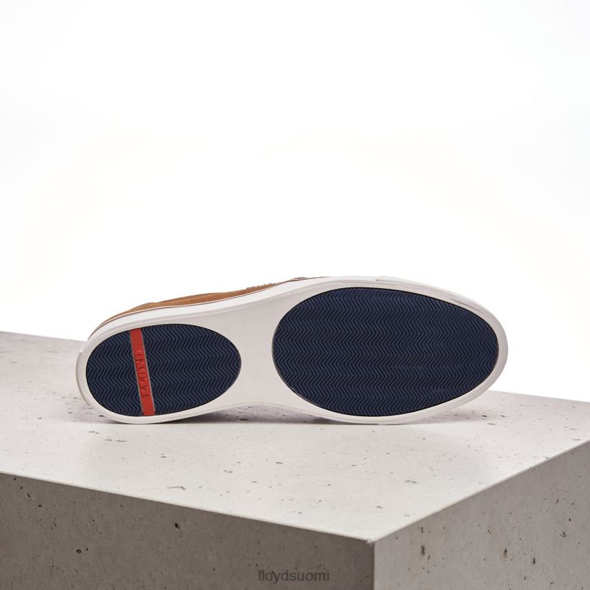 kenkiä LLOYD eldoret ruskea miehet 2N8DX606