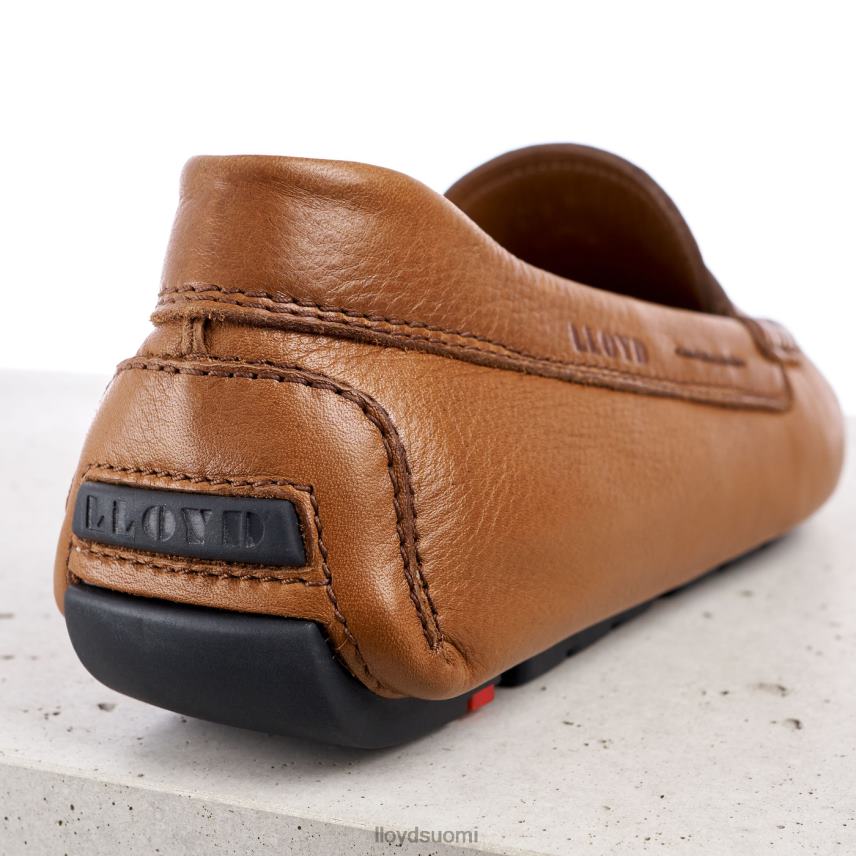 kenkiä LLOYD emmo ruskea miehet 2N8DX610