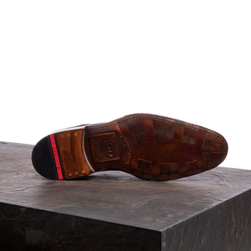 kenkiä LLOYD varoittaja ruskea miehet 2N8DX147